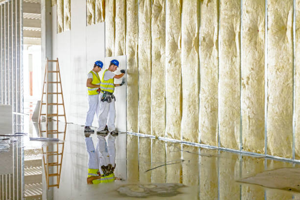 Best Wall Insulation Contractor  in Keizer, OR